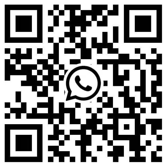 Whatsapp:+8615910198168